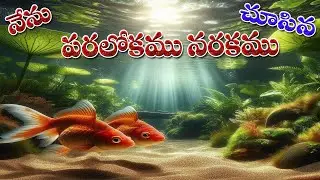 నేను చూసిన పరలోకము నరకము //    పరలోకములో  మిఖా యేల్  దేవదూత తన బాధ్యతలను పంచుకొనుట   మాట్లాడుట