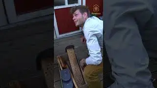 Biene will mit einziehen😂🐝 #fy #viralvideo #wildbienen #bienen #insects #funny #humor #handwerk