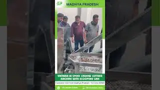 Vietnam Hi-Speed Cashew Cutting Machine with Scooping Line 🌟🌟Live Demo for Madhya Pradesh Customers🌟