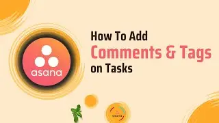 11 | How To Add Comments and Tags on Asana Project Tasks