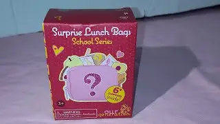 Our generation surprise lunch bags blind bag