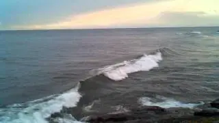 Tofte Mn