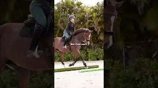 Vote for your fav channel at my lastest post! (Vote me) 😅💗 #horse #equestrian #horserider #edit