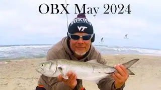 OBX Surf Fishing Oregon Inlet! I BATTLE the RELENTLESS winds and land some solid blues & a big drum!