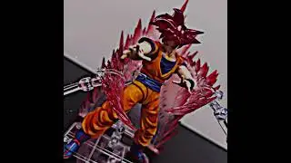 W or L pose? #shfiguarts #posing #actionfigures #dragonballz #goku #figurephotography #dragonball