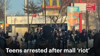 Несколько подростков задержаны во время &laquo;захвата&raquo; торгового центра Bay Plaza Mall | News 12