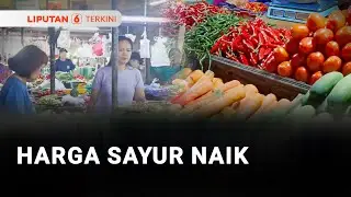Harga Sayur Naik Mencapai 20 Ribu Per Kilogram | Liputan 6