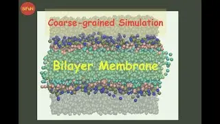 Coarse-grained Simulation of Bilayer Membrane @ Demo