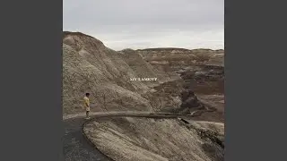 Your Plan