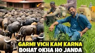 GARMI VICH KAM KARNA BOHAT OKHA HO JANDA🥹🥹
