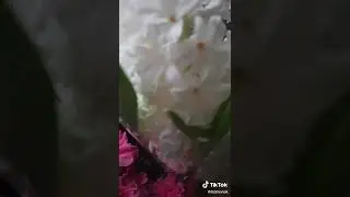 🎵💖 #song #flowers #music #кавер #пение #inmymind #cover #coversong #взаимныелайки #взаимнаяподписка