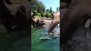 Сохраняйте🩵 и бронируйте экскурсии вместе с @RIOLA-travel 🧡