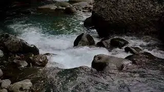 Natural River Sound for Deep Sleep | Stress Relief Audio for Health & Mindfulness
