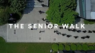 The Senior Walk