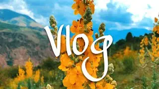 Ncs no copyright travelling music /Vlog music/ Memories Travelling Vlog music/ no copyright music