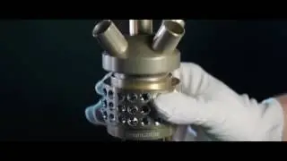 Steamulation Exclusive Gold Jewel