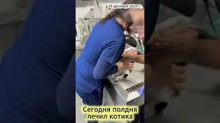 Сегодня полдня лечил кота