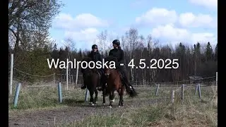 Wahlrooska - Träningstävling - 4.5.2025