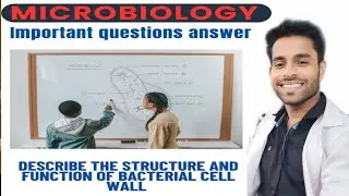Describe the structure and function of bacterial cell wall || microbiology question and answer