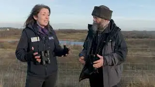 Coalface to Wild Space - visit Fairburn Tips to see how an old spoil heap is returning to nature.
