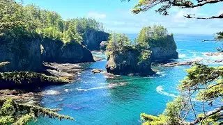 Olympic National Park, Hoh Rain Forest, La Push and Forks, WA. The setting for the Twilight Films!