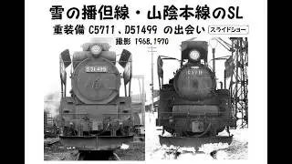 雪の播但線・山陰本線のSL  ＜重装備 C5711、D51499 の出会い＞  スライドショー  撮影 1968、1970