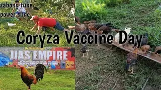 Coryza Vaccination | Habulan sa range | plus power slide ni Zabong Tube🤣