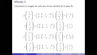 Aplicaciones Lineales:  Expresión matricial y cambio de base