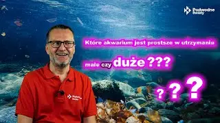 Q&A85. Kt&oacute;re akwarium jest prostsze w utrzymaniu? Małe czy duże?