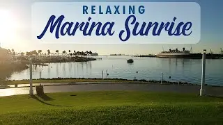 Shoreline Aquatic Park Long Beach - Magical Sunrise View at the Marina
