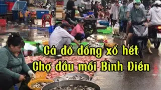 Thứ tư 11/6/2025 cập nhật giá bán lẻ hải sản chợ đầu Bình Điền