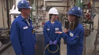 What goes into making a particle? | Behind the Science 24