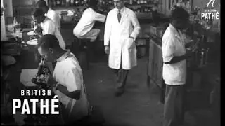 To Stem Smallpox Disease AKA To Stem Disease (1954)