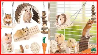 Hamster Chew Toys Set Small Animal Molar Toys Teeth Care Wooden Accessories for Guinea Pigs,Chinchil