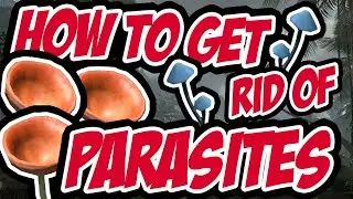 How to Get Rid of Parasites in Green Hell