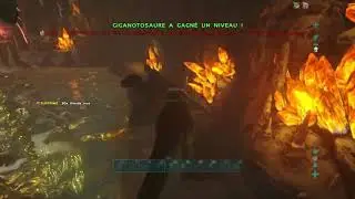 ARK PvP PS4 - Meatrun 262 for ddosing us