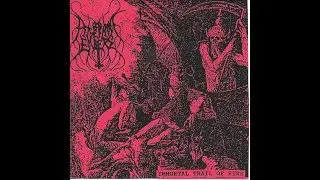 Rise From Embers - Immortal Trail of Fire FULL LENGTH Antichrist Black Metal