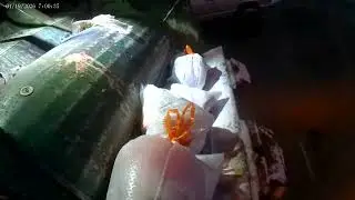 Monday trash pick up  (01/19/2026)￼