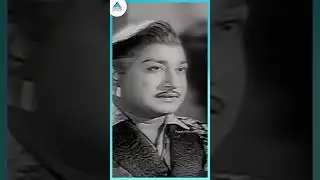 காதல் | Kadhal Siragai Video Song | Paalum Pazhamamum Movie Song | Sivaji | Saroja Devi | #ytshorts