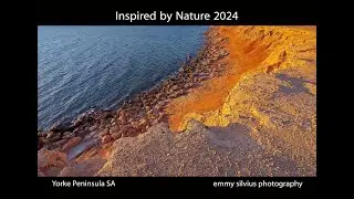 2024 Inspired by Nature Calendar