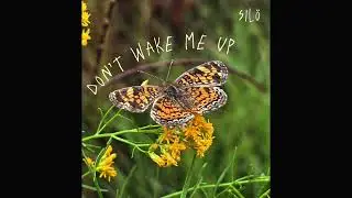 Don&rsquo;t Wake Me Up (Interlude)