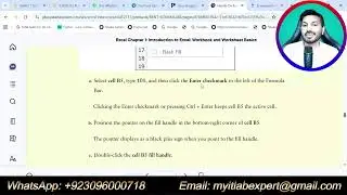 Excel Chapter 1: Grader Hands-On Exercise - Celebrity Musician's Souvenir Shop