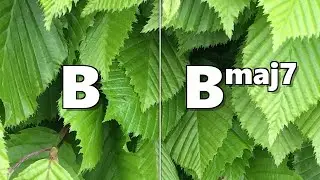 B to Bmaj7 Backing Track