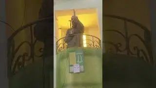 العقل اذا تعلم انار الدنيا