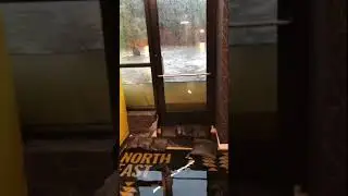 Floodwaters Surround D.C. Dog Daycare Facility: 'This Is Almost Halfway Up The Door'