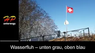 Wasserfluh: Unten grau, oben blau