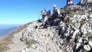 Zahme Alpendohlen am  Untersberg 2010