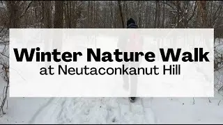 Winter Nature Walk | Audubon at Home