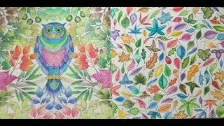 FULLY COMPLETED Johanna Basford Secret Garden - a flip through