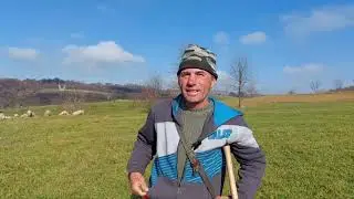 De vorba cu Lazar Marius, cioban la oi in Mesteacăn, Maramureş. Poveşti interesante‼️